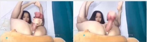 Hot News Pejabat Sewa Lc Pesta Babi Pembangunan di Hutan Terbuka Abg Jepang